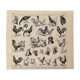 Lithographie gravure sur le coq de 1897