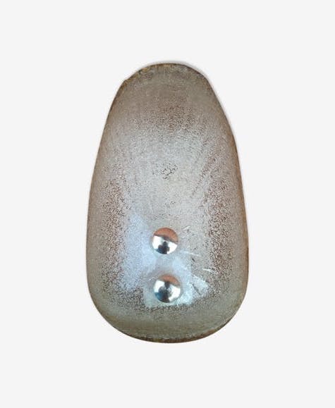 murano glass shell wall light