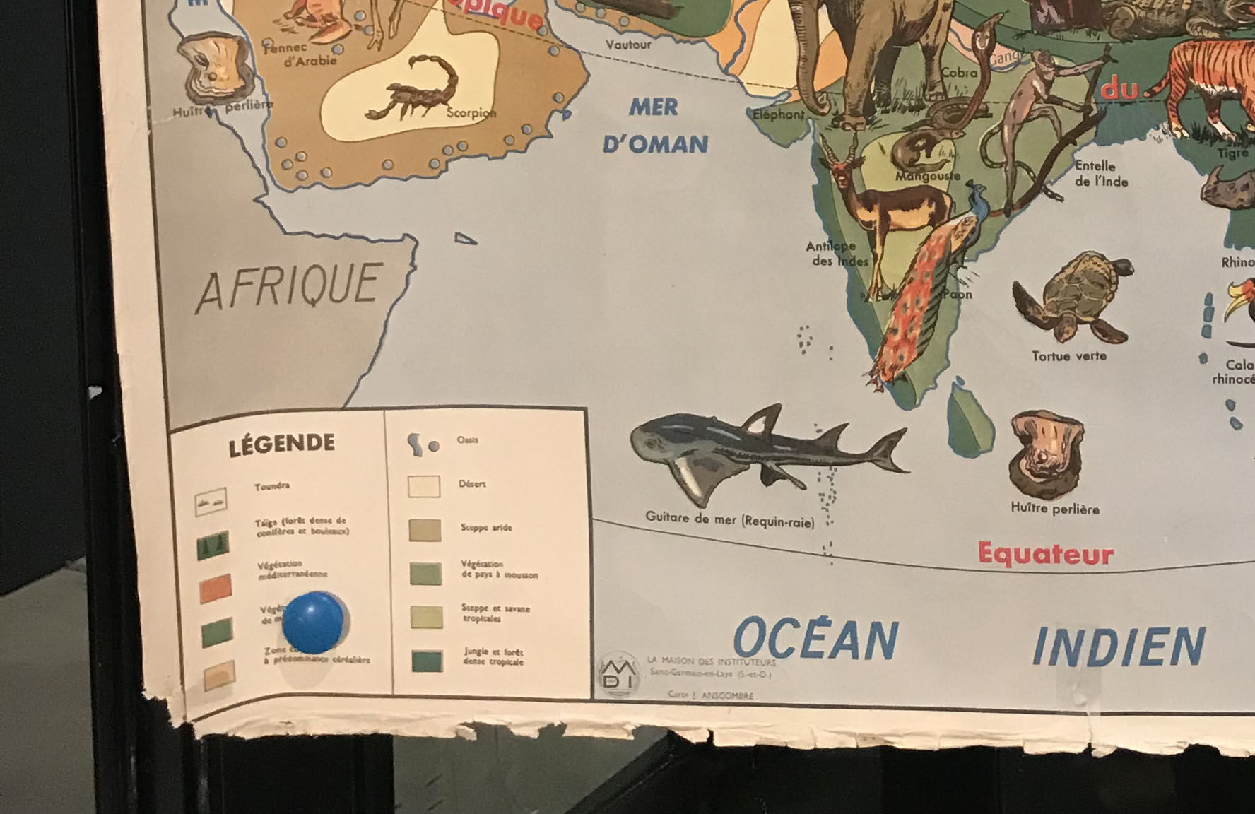 Card school Vegetation and fauna of North America and Asia MDI 1960