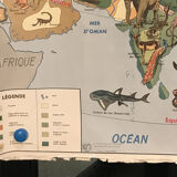 Card school Vegetation and fauna of North America and Asia MDI 1960