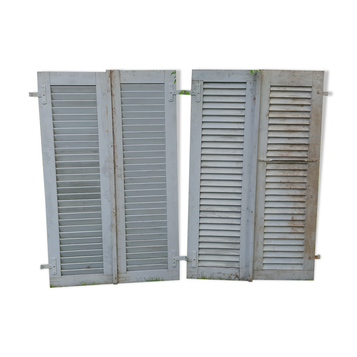 Set of 4 shutters in grey lasewood