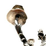Wiskeman, pair of rococo chandelier, silver metal