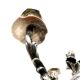 Wiskeman, pair of rococo chandelier, silver metal
