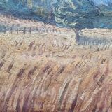 Wheat fields