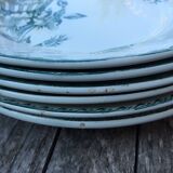 Series 6 tablespoons Plate Iron Earth