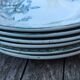 Series 6 tablespoons Plate Iron Earth