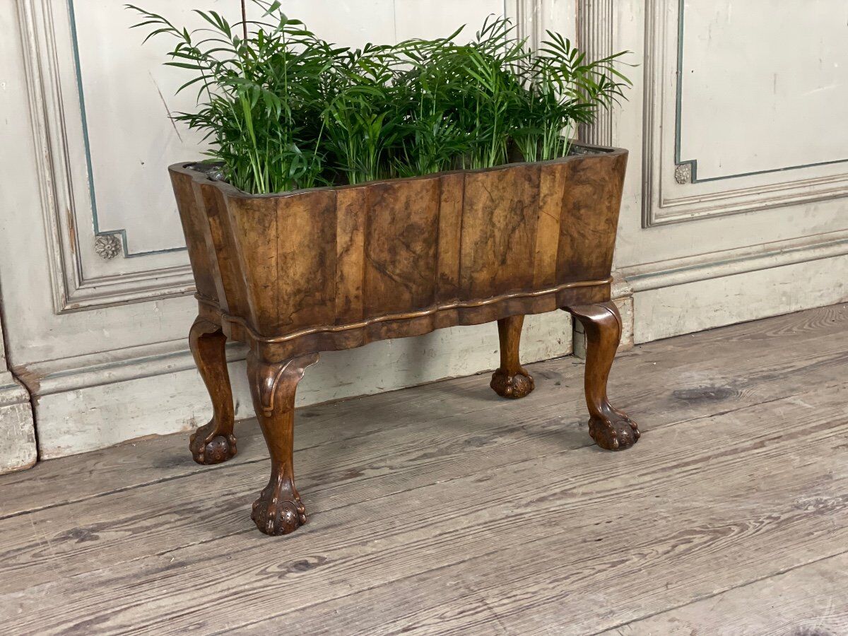 Planter in walnut, england circa 1880