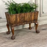 Planter in walnut, england circa 1880