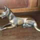 Bronze animalier chien loup