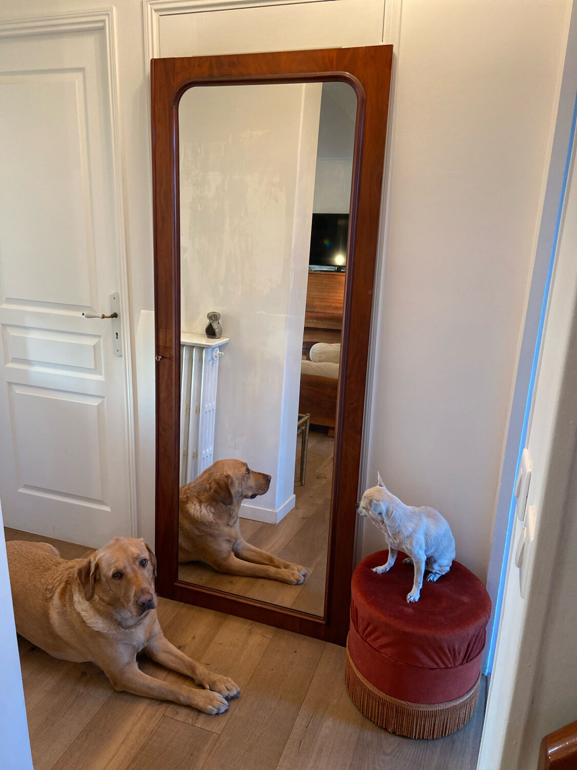Mirror 1960