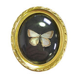 Butterfly under curved frame