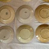 Barbotine plates