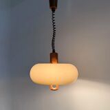 Mid-century space age pendant lamp Temde Leuchten, 1970s Germany