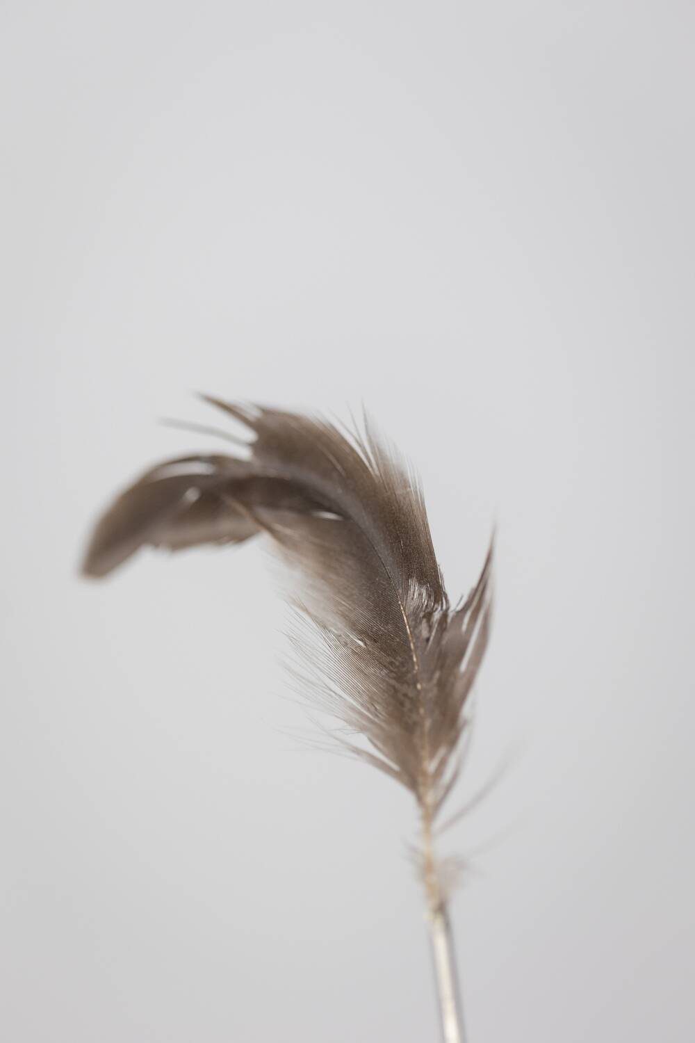 Ingo Maurer. “Bibibibi” model lamp. 1980s.