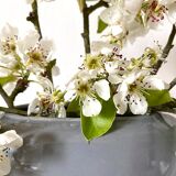 Vintage vase from the 80s