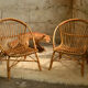 Fauteuils en rotin