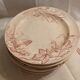10 antique ironstone dinner plates