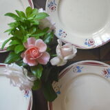 10 assiettes Lunéville Luce
