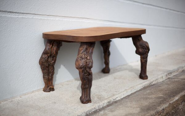 Table basse bois et pieds de vigne