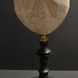 Cabinet of Curiosities sea urchin brissus unicolor on base