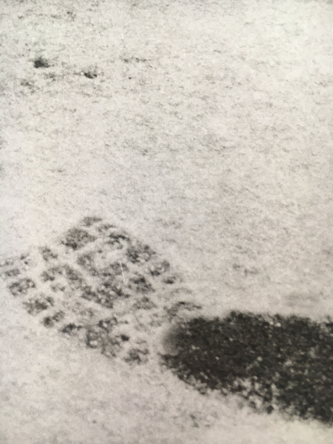 Original 90s photography, not in the snow, graphics