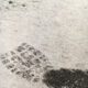 Original 90s photography, not in the snow, graphics