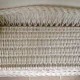 Trunk storage painted rattan bench