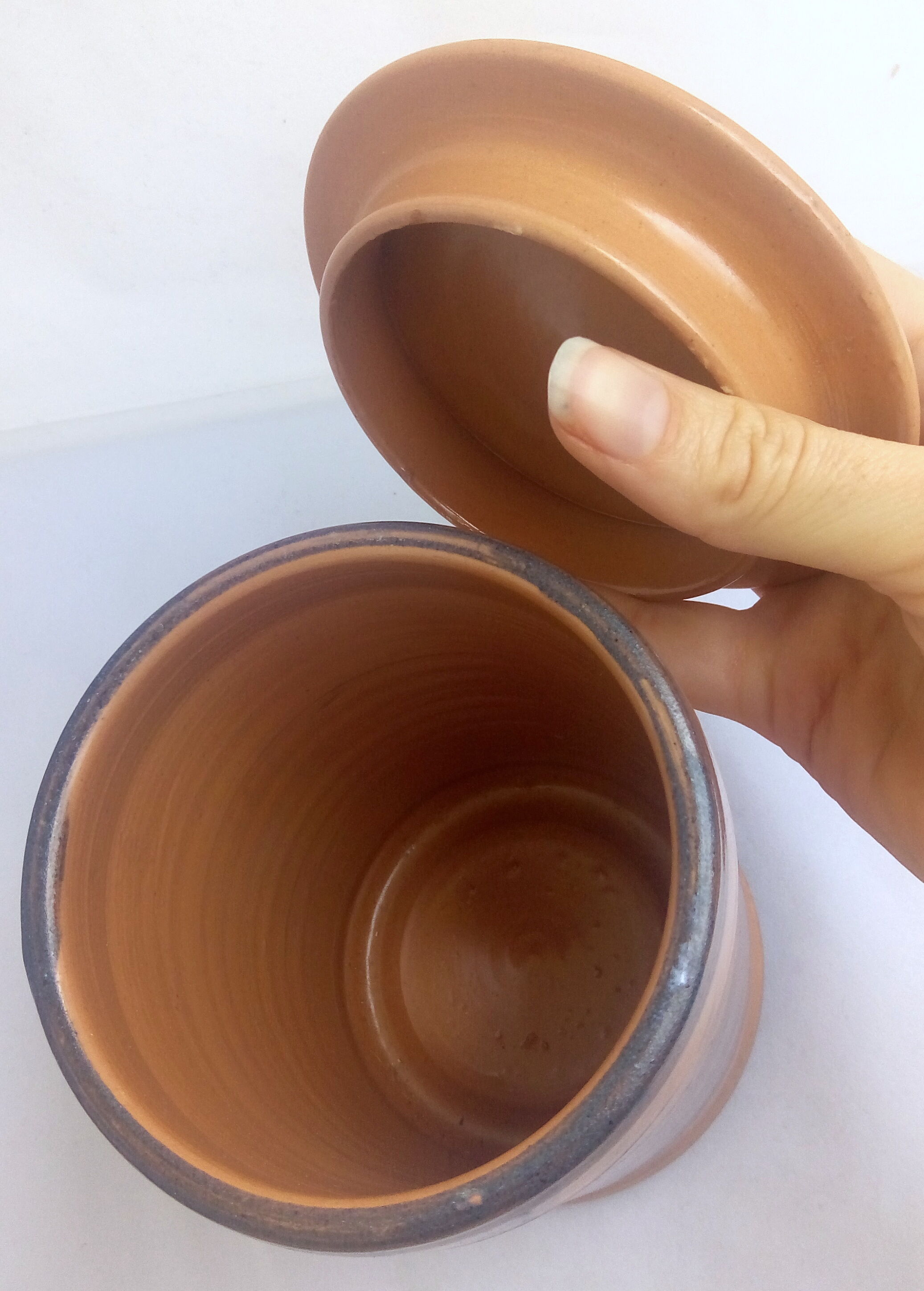 Terracotta ceramic pot with blue flowers