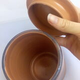 Terracotta ceramic pot with blue flowers