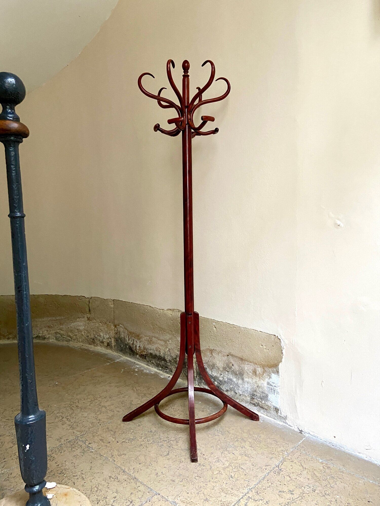 Parrot coat rack in arched beech