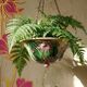 Antique planter suspension from the 19th-20th century in Art Nouveau majolica.