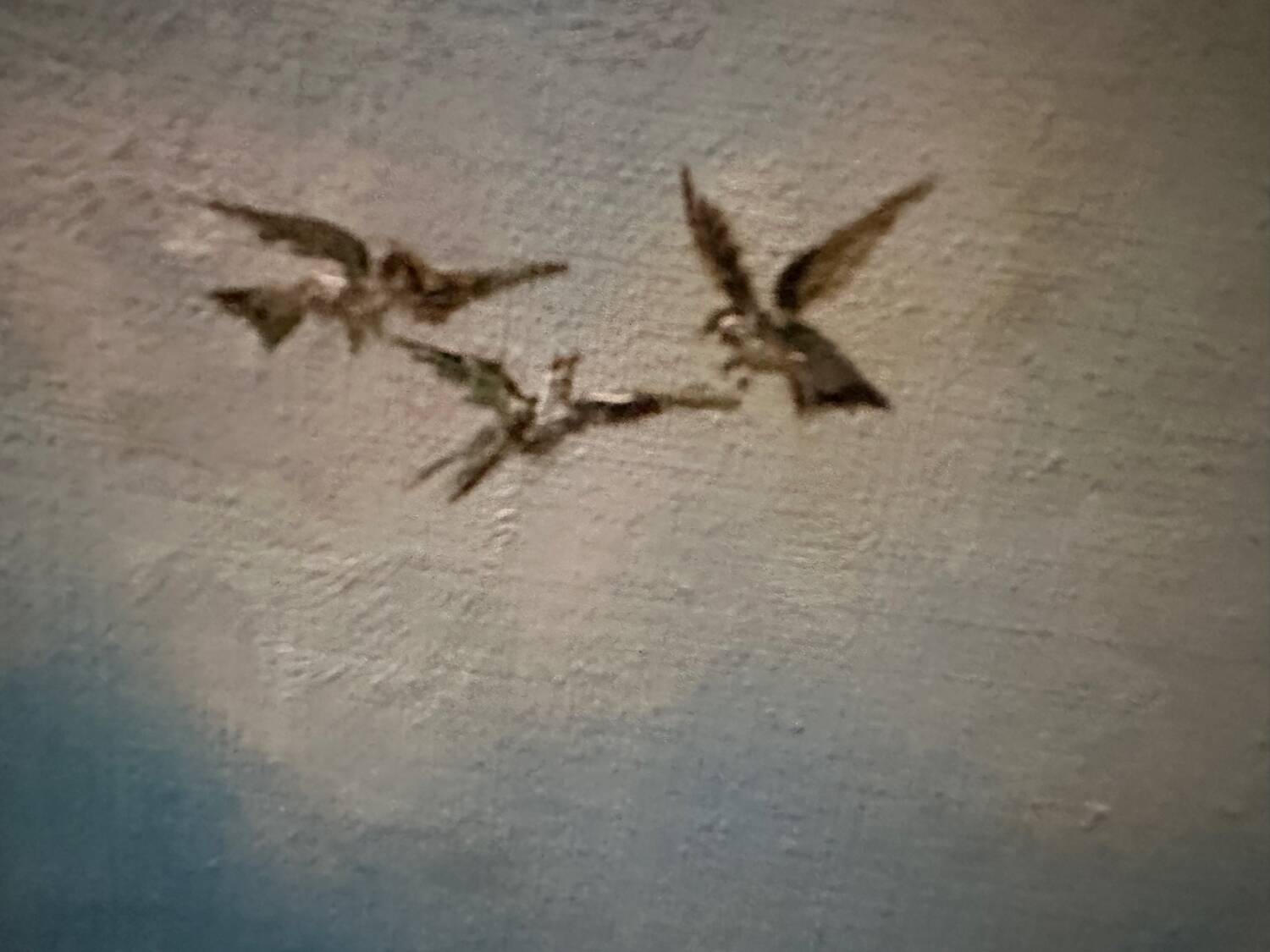 Louis Casavino (1921-1998) Oil on canvas "The falcon hunt"
