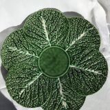 Cabbage leaves dish