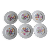 6 assiettes fleuries KG Lunéville