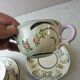 Set of cups and sub-cups, décor Georg Schmider Zeller, Dekor Favorite