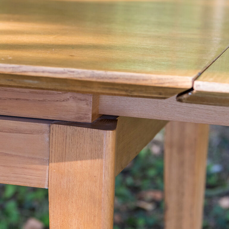 Table 2 extension leaves