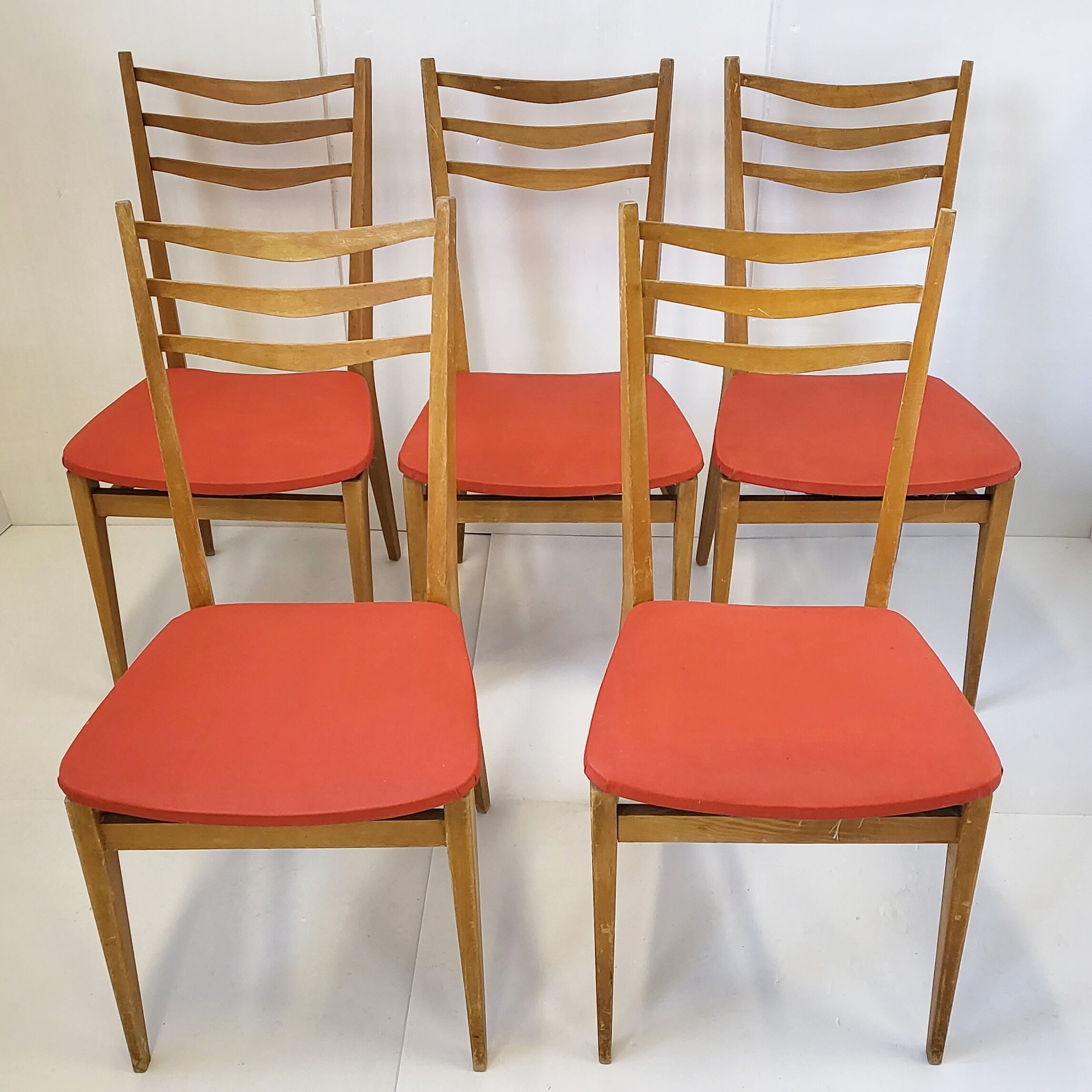 Suite of 5 chairs 1950