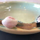 Paris ceramic dish with slip decoration, by Suzy Coste