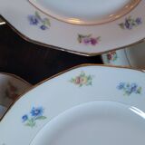 8 porcelain dessert plates with gold rim and various flowers
