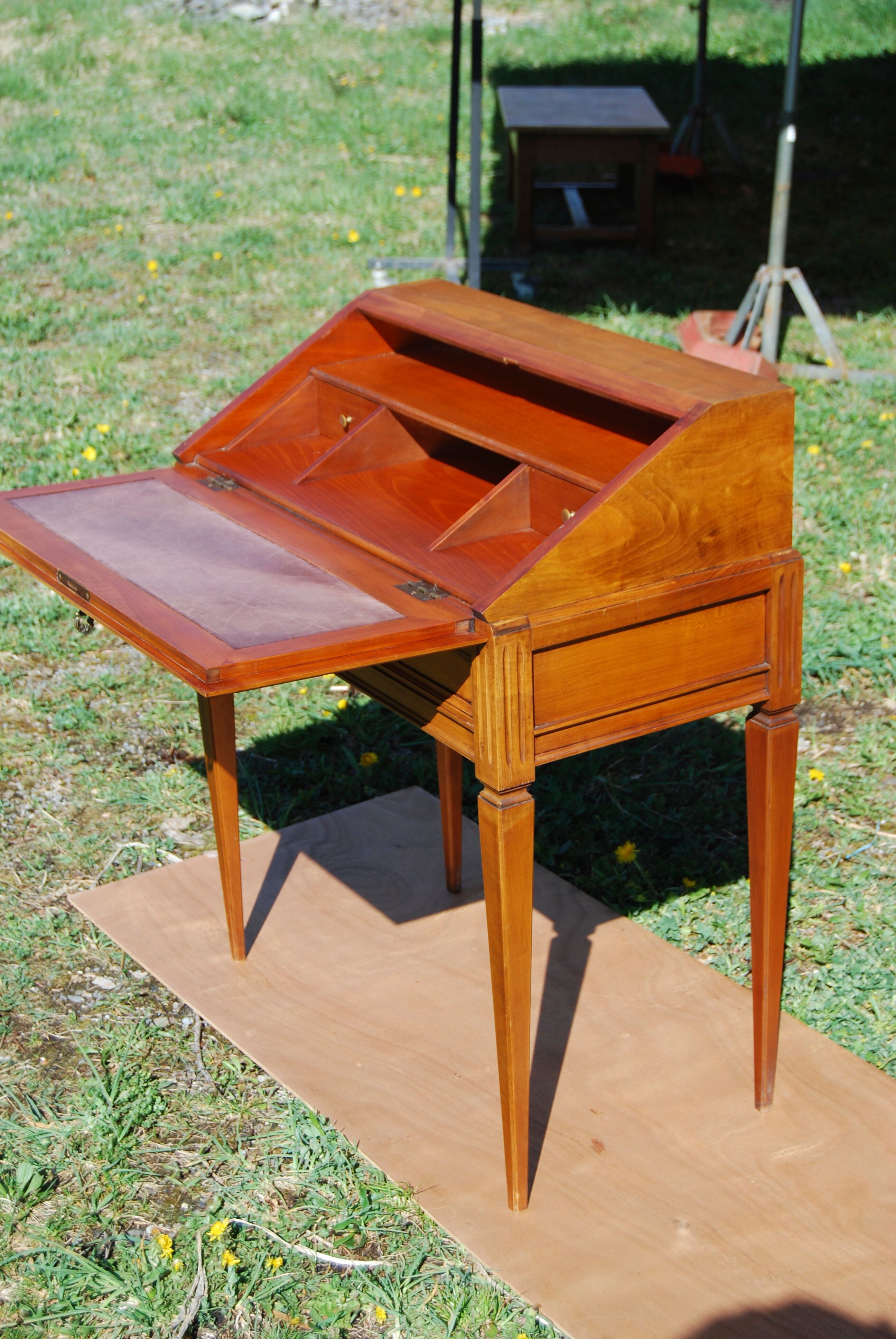 Louis XVI-style donkey back in cherry tree