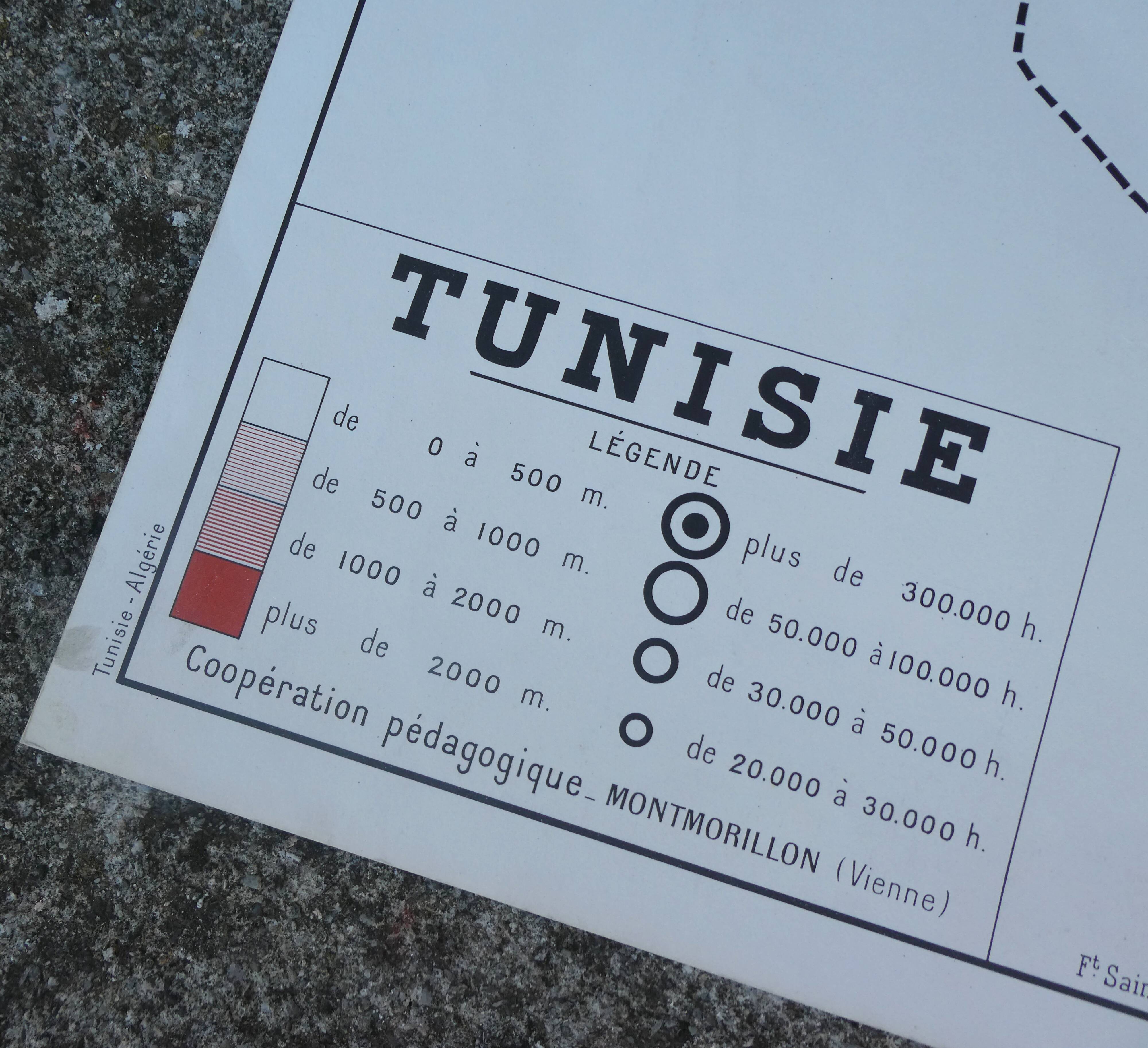 Old poster-school map Rossignol year 50 Tunisia, Algeria