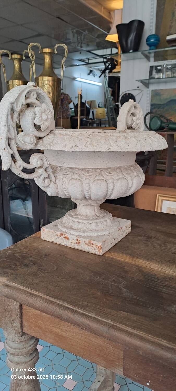 19th century cast iron medicis garden vase