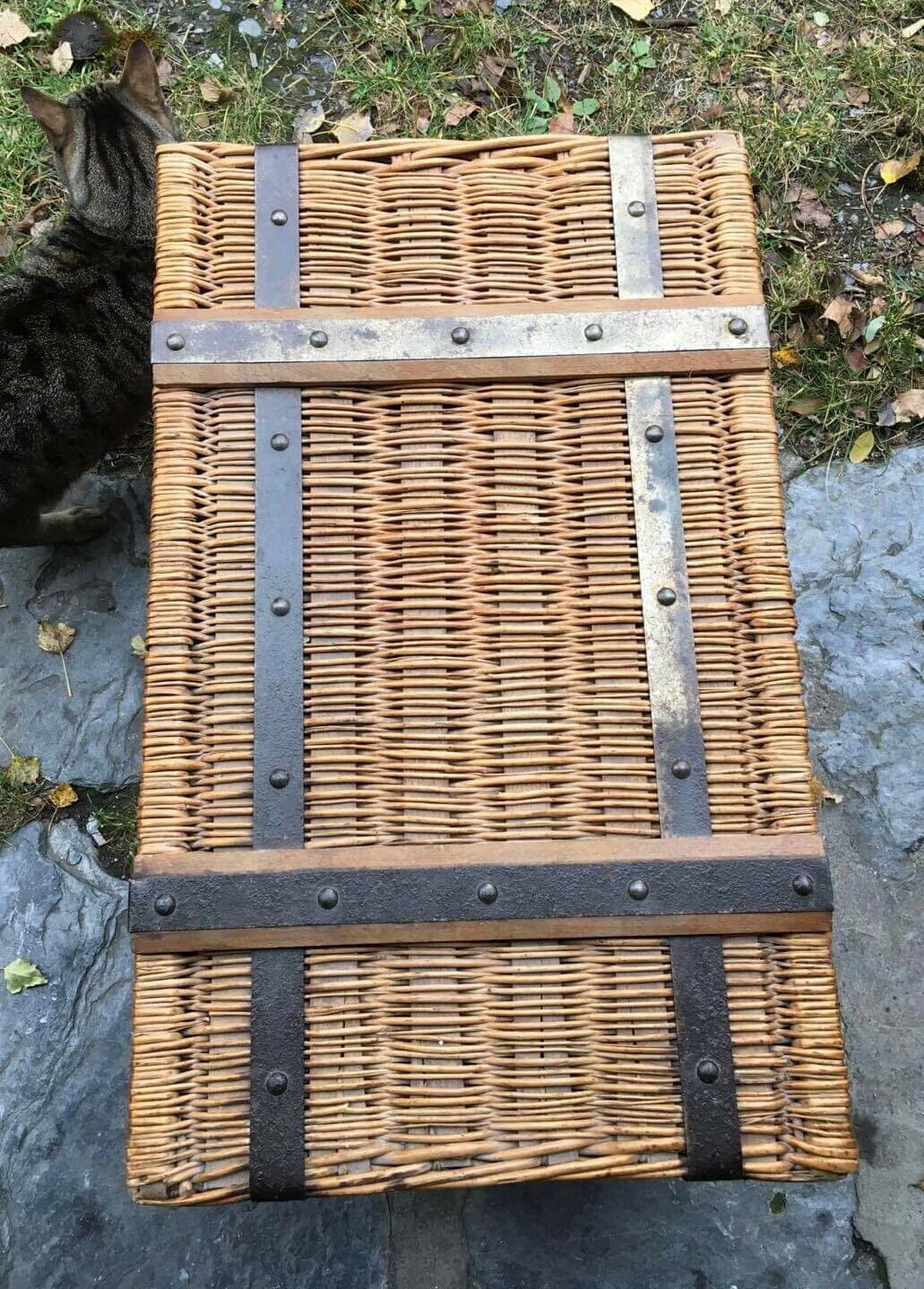 Wicker trunk