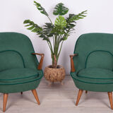 Model 345 armchairs by J. Jędrachowicz i K. Racinowski for Poznan Furniture Factory, 1950s, Set of 2