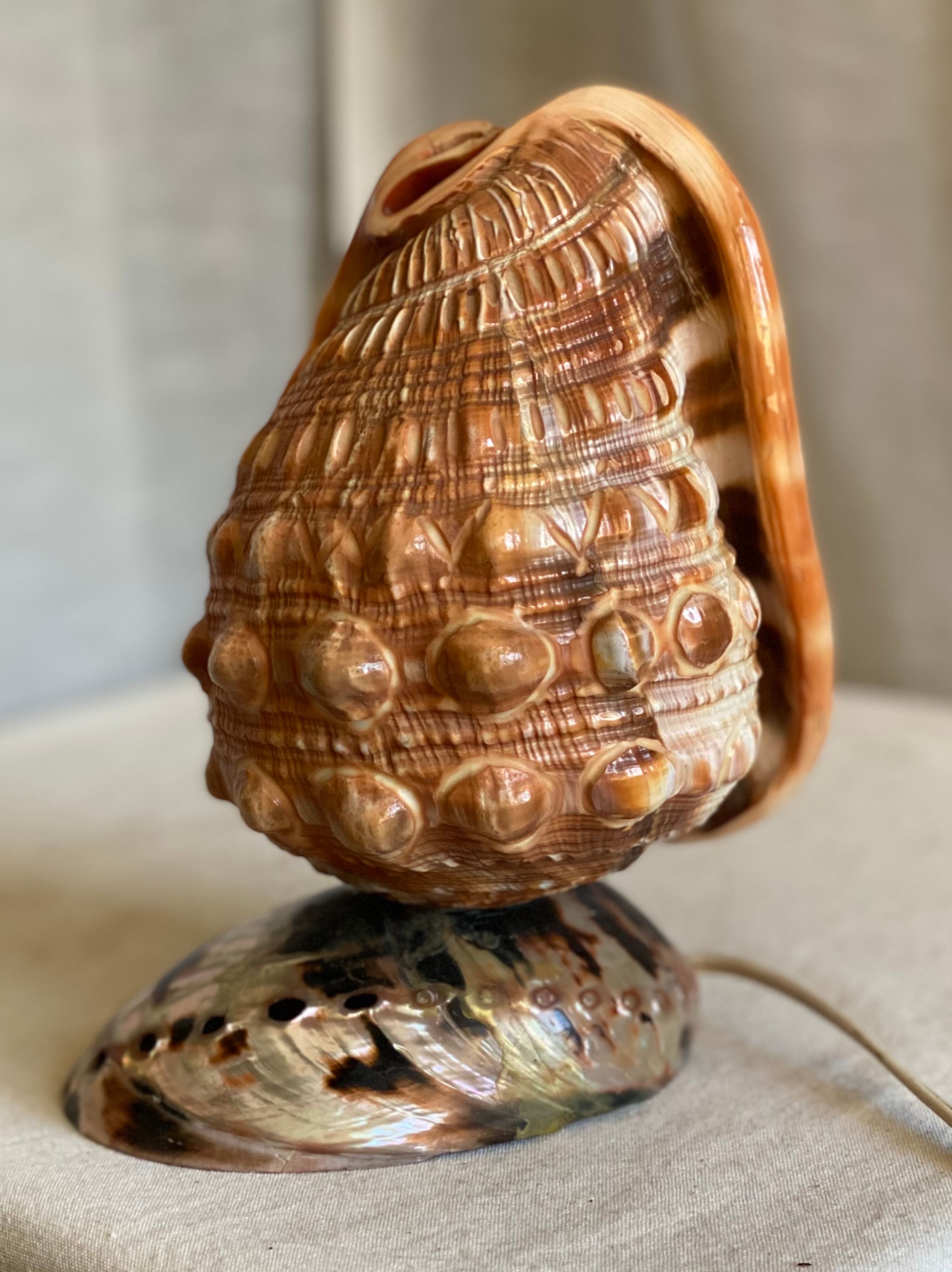 Vintage 1960s shell night light