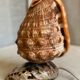 Vintage 1960s shell night light