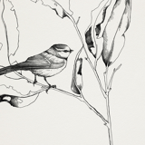 Illustration - bird and branch no.2
