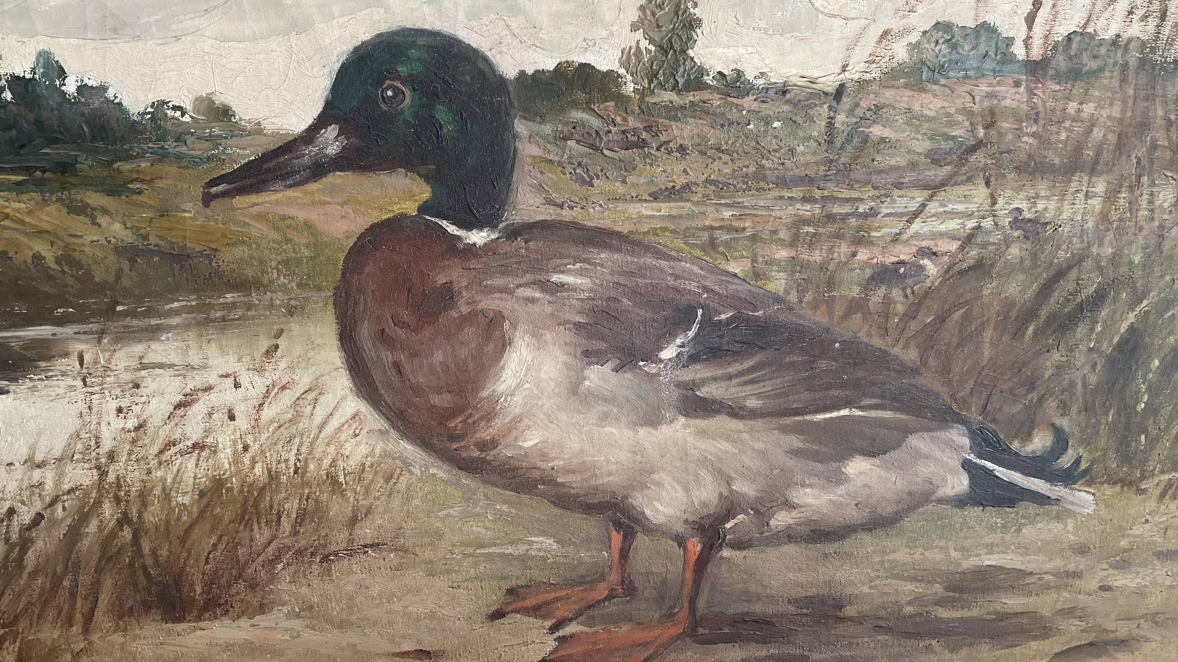 HST oil painting, Ermanno Clara, wild duck, late 19th early 20th century