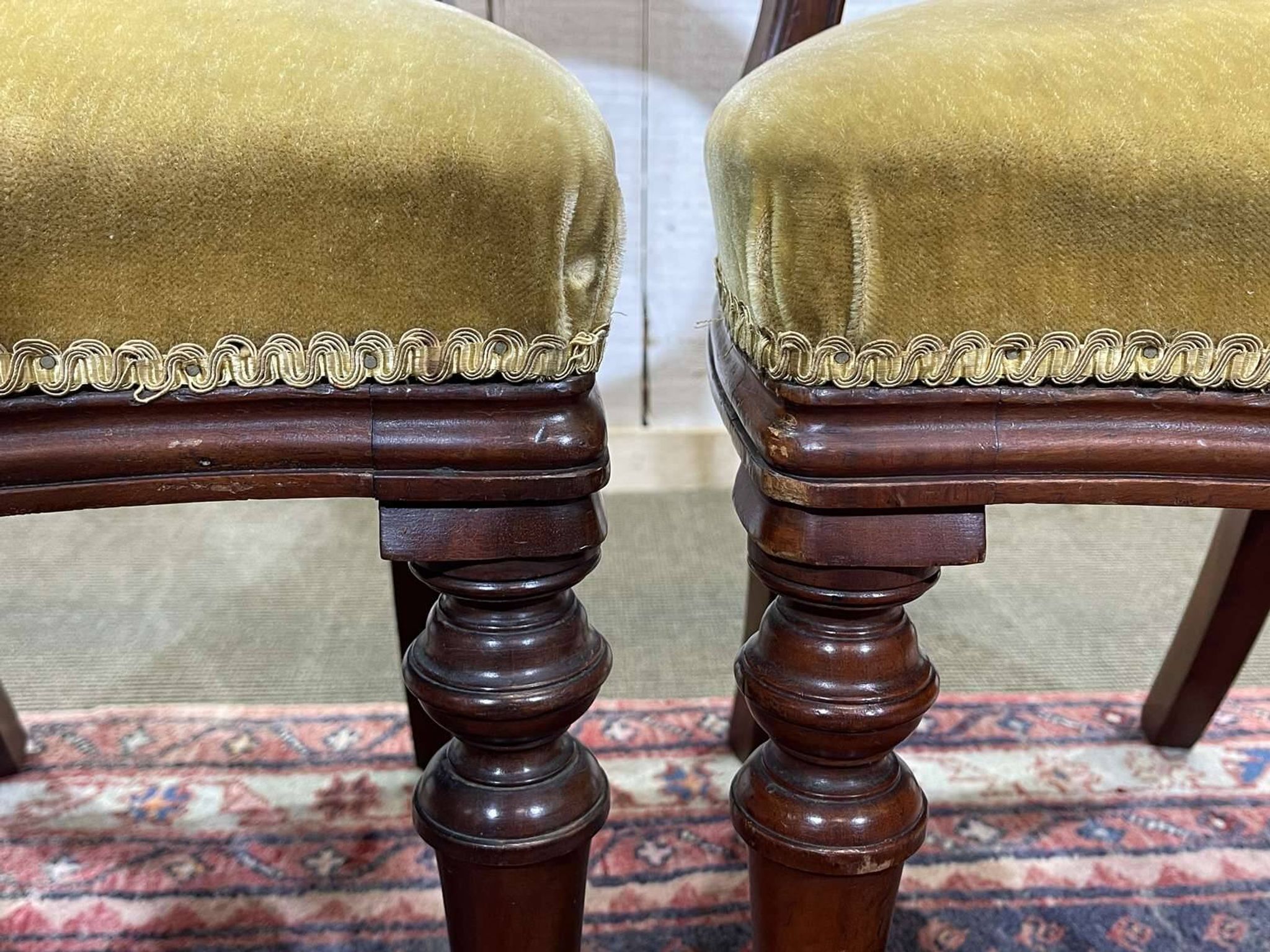 Suite de 4 chaises anglaises Victoriennes 19ème en Acajou