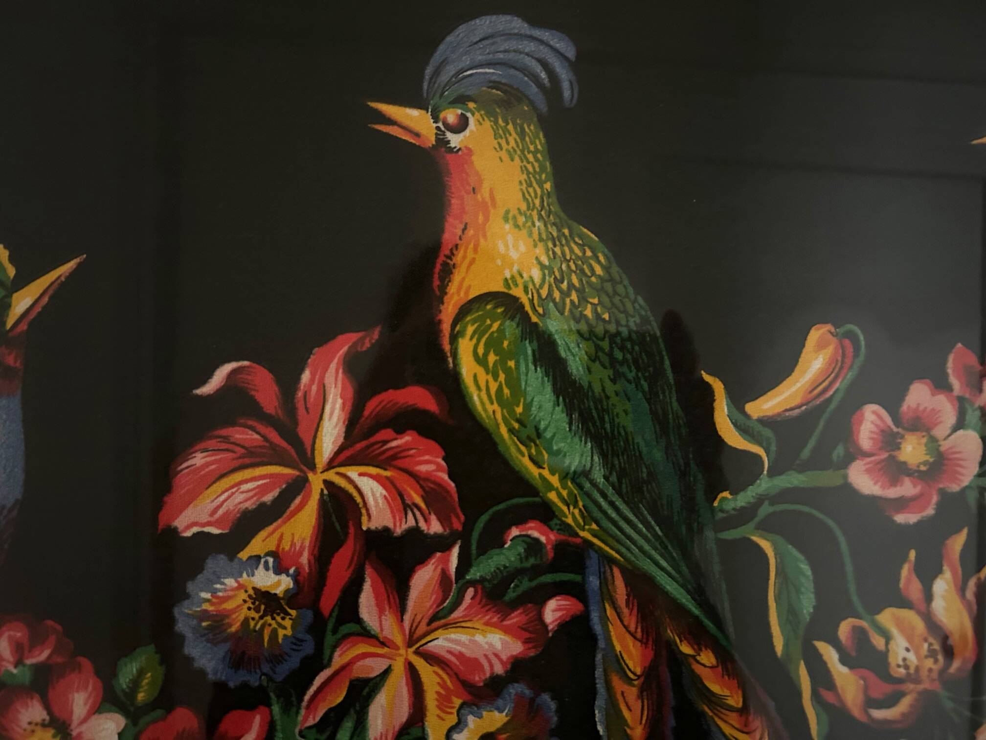bird paintings 1950